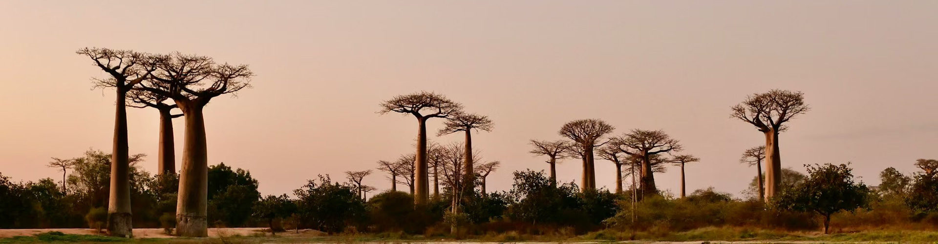 madagascar,un pays plein de ressources-中国-马达加斯加经济博览会